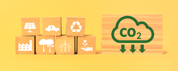 adoptar un futur de carboni neutre
