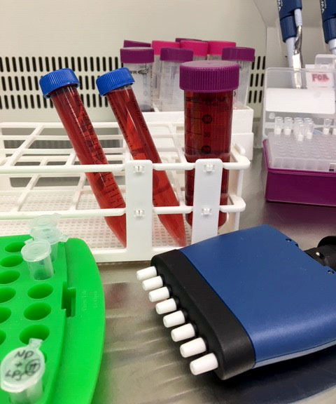 ICN2 Biolab Facility 2