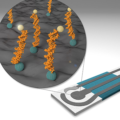 Nanobiosensors and Bioanalytical Applications